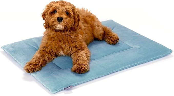 KindTail Dog Crate Pad - Soft Velvet, Reversible Bed - Machine Washable Kennel Mat for Pets up to 25 lbs - Mattress for Cozy Sleeping - 25” x 19” x 1” (Light Blue, Medium)