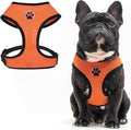 BINGPET No Pull Dog Harness, Soft Mesh Breathable All Weather Vest, Safety Protection Design, Durable Adjustable Step-in Easy Walk Dog Harness for Large Dogs (Orange, L)