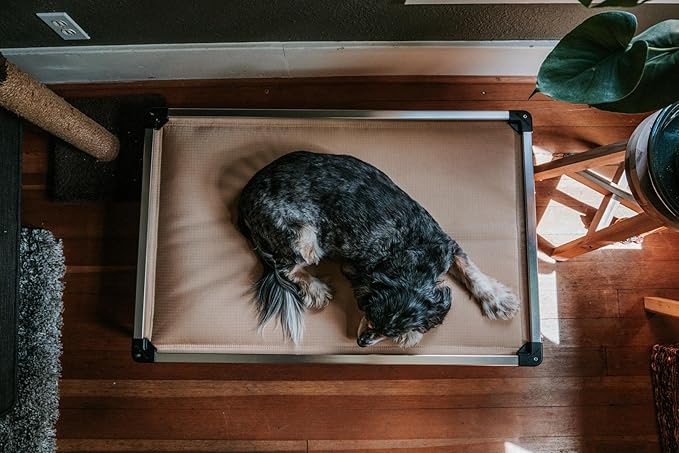 K9 Ballistics Chew Proof Armored Padded Dog Crate Bed, Virtually Indestructible, Legs Included (Blue, XX-Large (50" L x 33" W x 8" H))