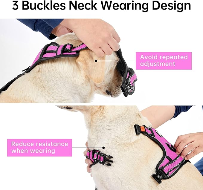 IVY&LANE No Pull Dog Harness for Small Dogs, Dog Vest Harness with Leash, Safety Belt and Storage Strap, Fully Adjustable Harness, 360° Reflective Strip, Soft Handle (Fuchsia Pink,S)