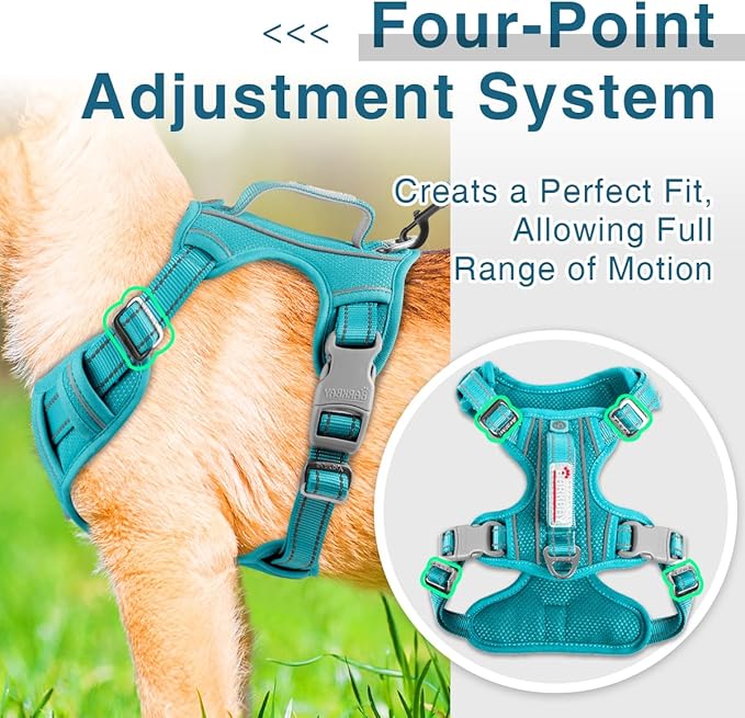 BARKBAY Dog Harness No Pull with ID Tag Pocket - Heavy Duty, Reflective, Easy Control for Large Dogs(Ocean Blue,S)