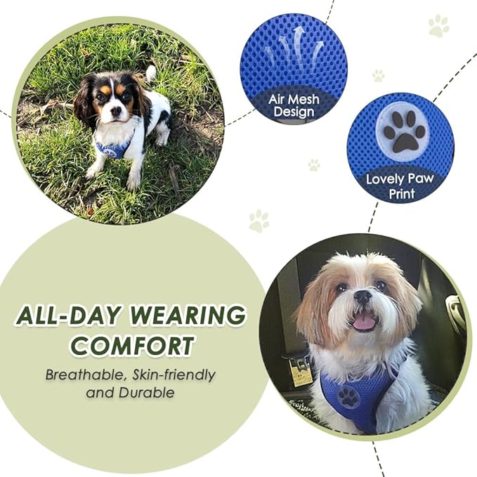 SlowTon Dog Seat Belt Harness for Car, Dog Car Harness Adjustable Mesh Breathable & Dog Seatbelt Safety Tether with Elastic Bungee for Small Medium Large Pets(Blue, Double Clip, S)