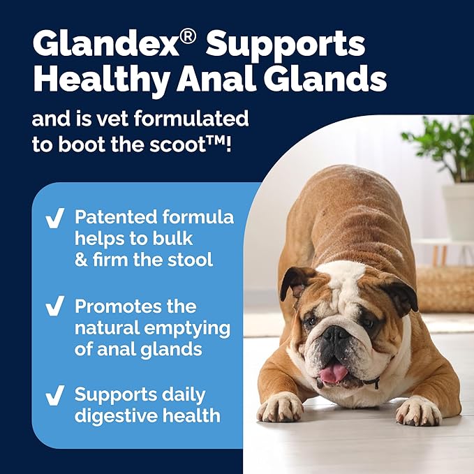 Glandex Dog Fiber Supplement Powder for Anal Glands with Pumpkin, Digestive Enzymes & Probiotics - (Regular or Advanced Strength) - Boot The Scoot (8.5 oz, Advanced Strength Duck & Bacon)