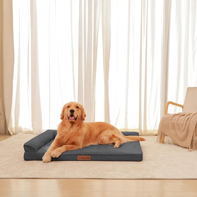 Chew Proof Dog Bed, 3" Memory Foam Dog Bed for Medium and Large Dogs, Removable and Washable Microsuede Cover, Waterproof Liner, Nonskid Bottom, 44x32, XXL Dark Grey