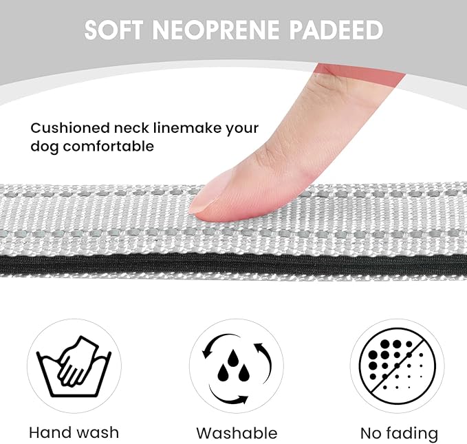 Reflective Dog Collar Padded with Soft Neoprene Breathable Quick Release Basic Dog Collars for Puppy Small Dogs Girl Boy Xs Silver