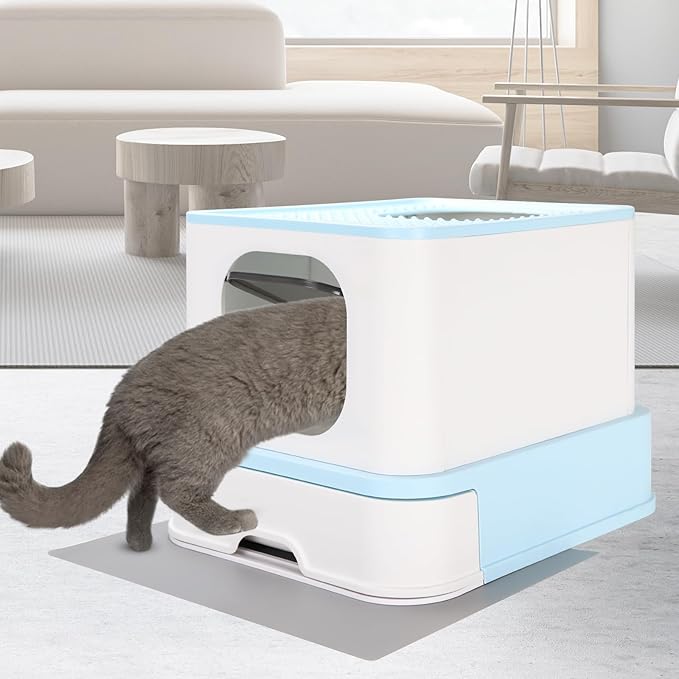 RIZZARI Cat Litter Box Top-Entry : Leak-Proof Enclosed Design Reduces Odor, for Indoor Cats & Owners (Green)