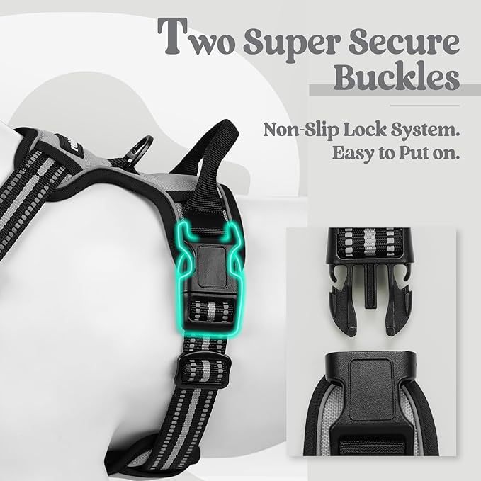 rabbitgoo Dog Harness No Pull with 2 Leash Clips, Adjustable Soft Padded, Reflective Oxford No Choke Pet Vest with Easy Control Handle for Large Dogs, Grey, XL