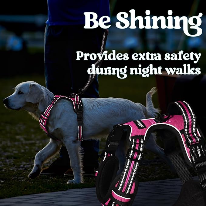 rabbitgoo Dog Harness for Large, No Pull Pet Harness with 3 Buckles, Adjustable Soft Padded Vest with Control Handle, Walking Reflective Pet Vest for Large Dogs, Rose Pink, L