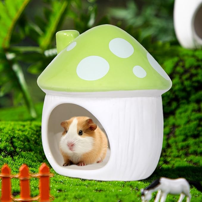 Ceramic Mushroom Hamster Hideout - Hamster Habitat for Hamsters Chinchillas Hedgehogs and Gerbils Mouse Small Pet Guinea Pigs House Hamster Bed (Green)