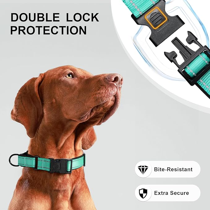 Airtag Dog Collar with Martingale Design, IP68 Waterproof Air Tag Collar Holder, Adjustable Reflective Soft Padded Nylon Dog Collar for Large Medium Small Dogs
