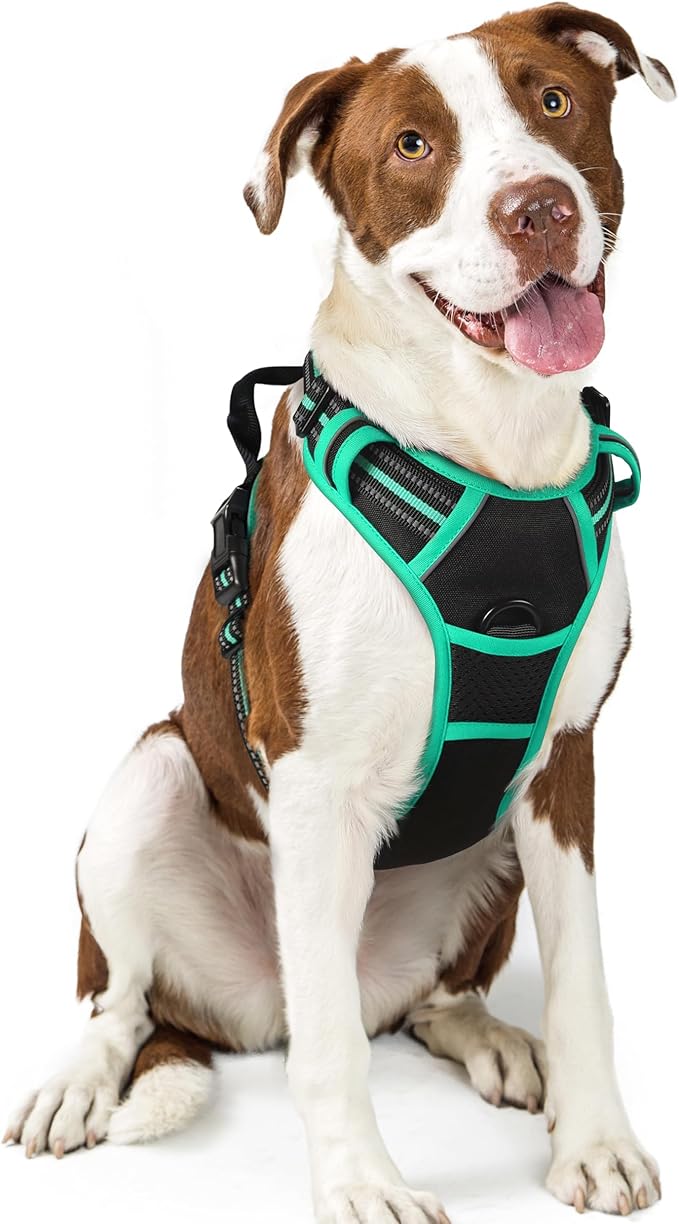 rabbitgoo Dog Harness No Pull with 2 Leash Clips, Adjustable Soft Padded, Reflective Oxford No Choke Pet Vest with Easy Control Handle for Large Dogs, Black & Turquoise, L