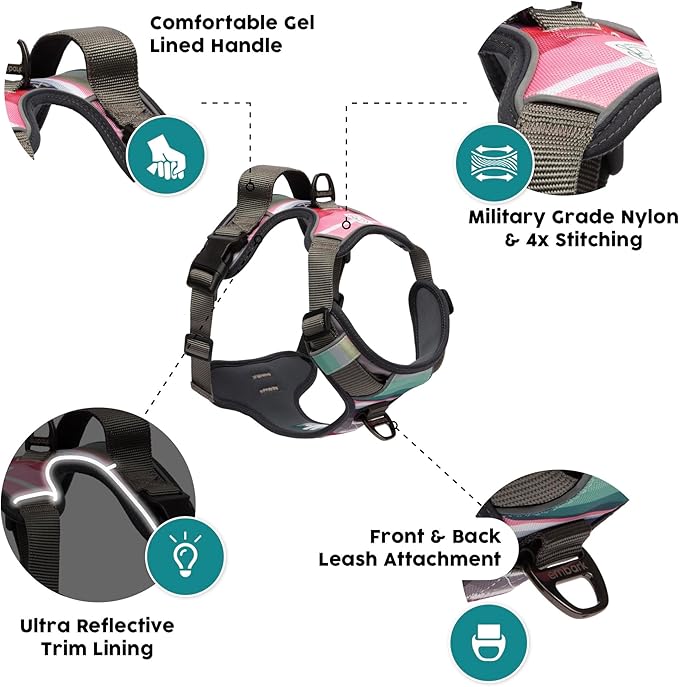 Embark Adventure Dog Harness, Reflective Trim No Pull Dog Harnesses for Small Sized Dogs - Military Grade Nylon, Front Clip with Gel Lined Handle. Soft & Padded Puppy