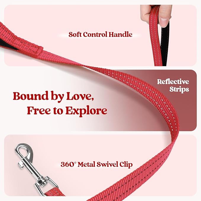 rabbitgoo Dog Harness Small Sized and Leash Set, Step in Soft Light Puppy Vest, Breathable Mesh Pet Harness, Reflective for Safe Easy Walking, Red XXS