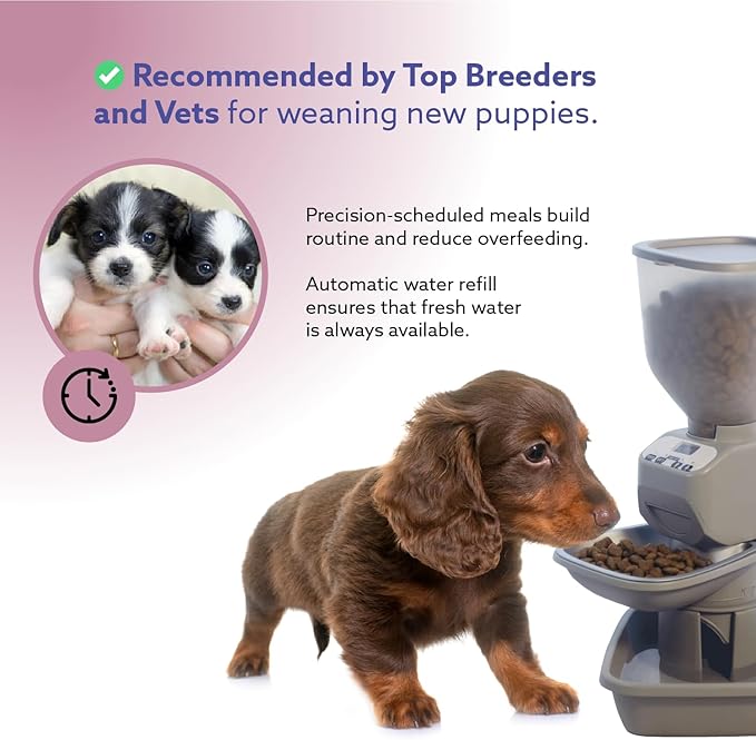 Automatic Dog & Cat Food Feeder with Water Dispenser – Smart Pet Feeder with Portion Control, OLED Display, Anti Jam Design, Battery Operated Dispenser for Small Pets - Taupe