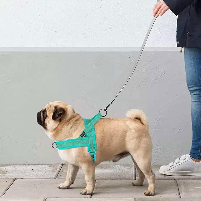Didog No Pull Dog Harness with Breathable Mesh Padded, Full Reflective & Quick Fit Adjustable Vest Harness, Easy for Training Walking for Small & Medium and Large Dogs (Green, S:Chest 18-22")