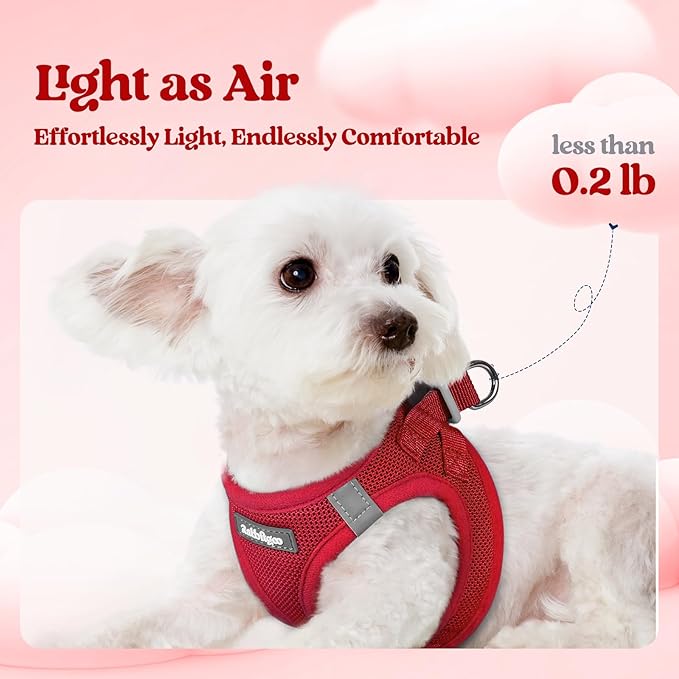 rabbitgoo Dog Harness Small Medium Sized and Leash Set, Step in Soft Light Puppy Vest, Breathable Mesh Pet Harness, Reflective for Safe Easy Walking, Red L