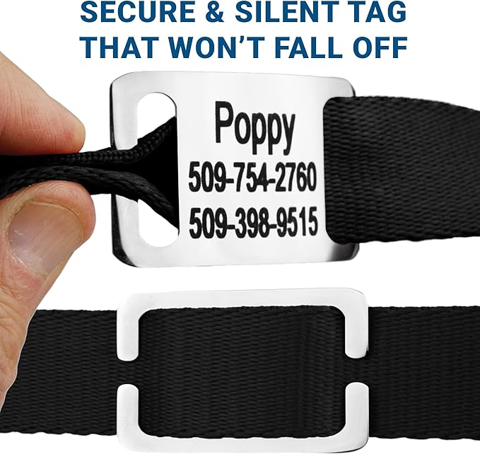GoTags Personalized Dog Collar with Nameplate, Adjustable Dog Collar with Custom Engraved Slide On Pet ID Tag in Stainless Steel, Silent, No Noise Dog Tag (Charcoal, Large)