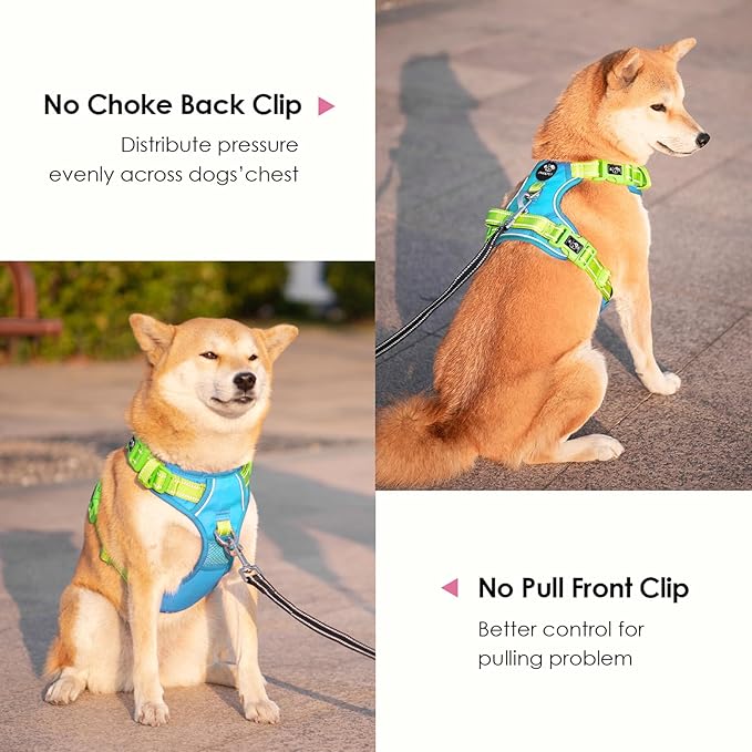 PHOEPET No Pull Dog Harness, Unique Colors Reflective Adjustable Dog Vest, with Soft Training Handle Metal Clips for Small Medium Large Dogs (Blue Base & Green Straps,M)