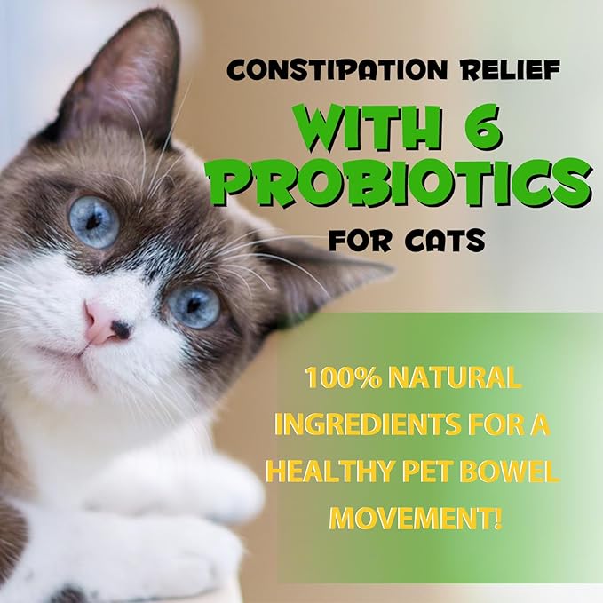 Cat Constipation Relief, Liquid Drops Supports Laxative Relief, Cat Herbal Supplements, Stool Softener Laxative Constipation Relief, Chicken Flavour- 60ml / 2 fl.oz(2PCS)
