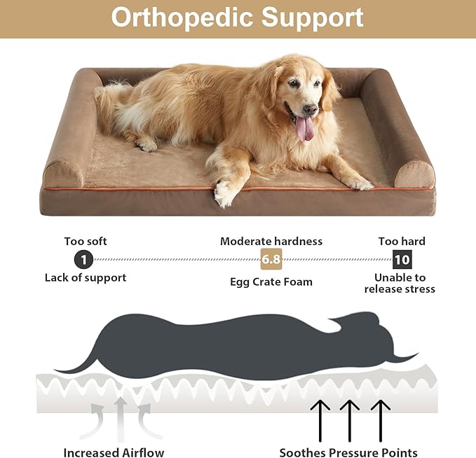 BFPETHOME Washable Large Dog Bed, Big Couch Bed with Removable Washable Cover, Orthopedic Egg-Crate Foam & Waterproof Lining
