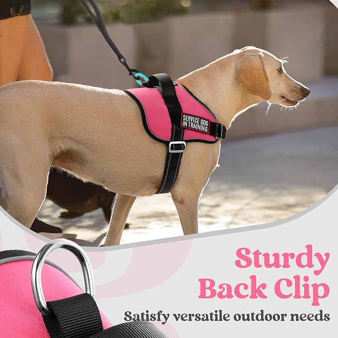 rabbitgoo Dog Harness for Large, Easy On Pet Vest with One Buckle, No Pull Adjustable Service Harness with D-Ring & Handle, Reflective for Safety Walking, Training, Pink, L