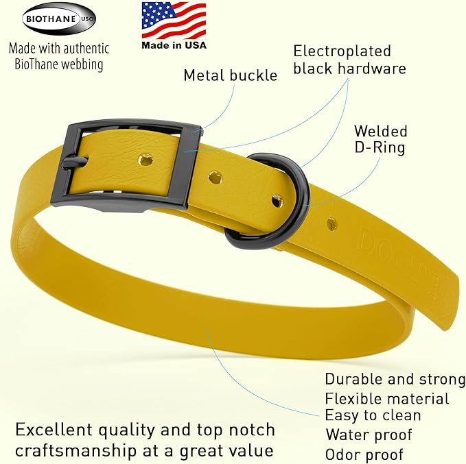 Dogline Biothane Waterproof Dog Collar Strong Coated Nylon Webbing with Black Hardware Odor- Proof for Easy Care Easy to Clean High Performance Fits Small Medium or Large Dogs, Treasure Gold