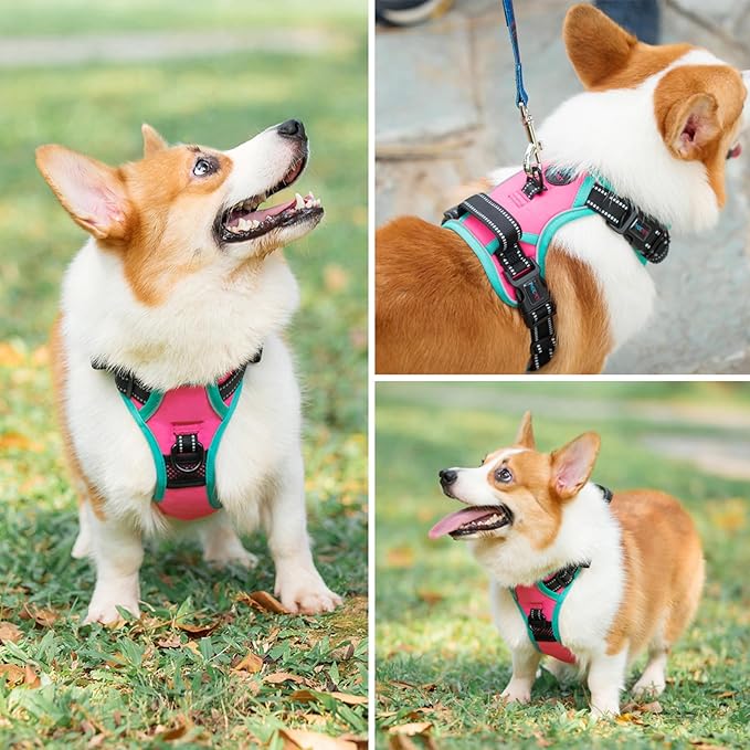 PHOEPET 2019 Reflective Dog Harness Large Breed (XL, Pink)
