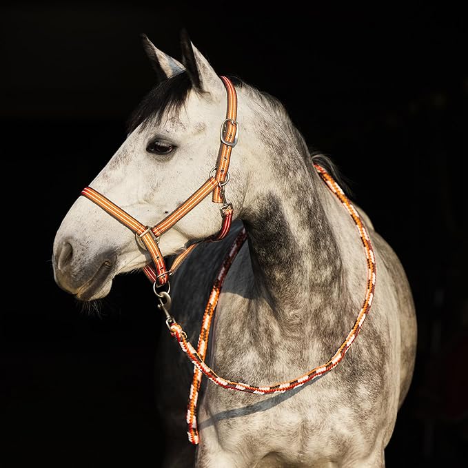 HORZE Adepto Adjustable Horse Halter | Soft, Durable Polyester - Coral Gold - Pony