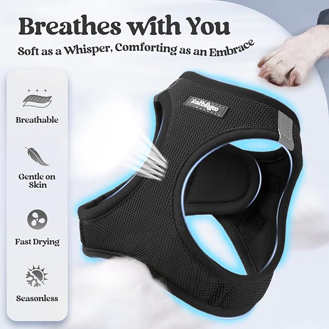 rabbitgoo Dog Harness Small Sized and Leash Set, Step in Soft Light Puppy Vest, Breathable Mesh Pet Harness, Reflective for Safe Easy Walking, Black S