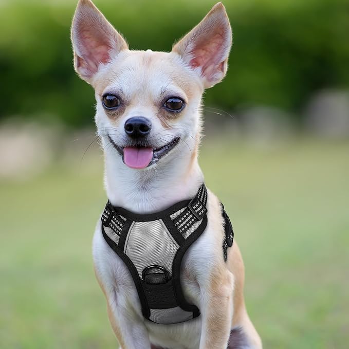 rabbitgoo Dog Harness No Pull with 2 Leash Clips, Adjustable Soft Padded, Reflective Oxford No Choke Pet Vest with Easy Control Handle for Puppy, Grey, XS