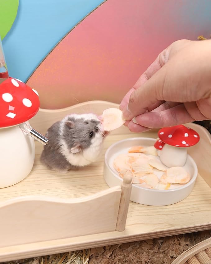 Niteangel Hamster Snack & Treats Toy - Small Animal Natural Treat for Dwarf Syrian Robo Hamsters Gerbils Mice Lemmings Degus or Other Small-Sized Pets