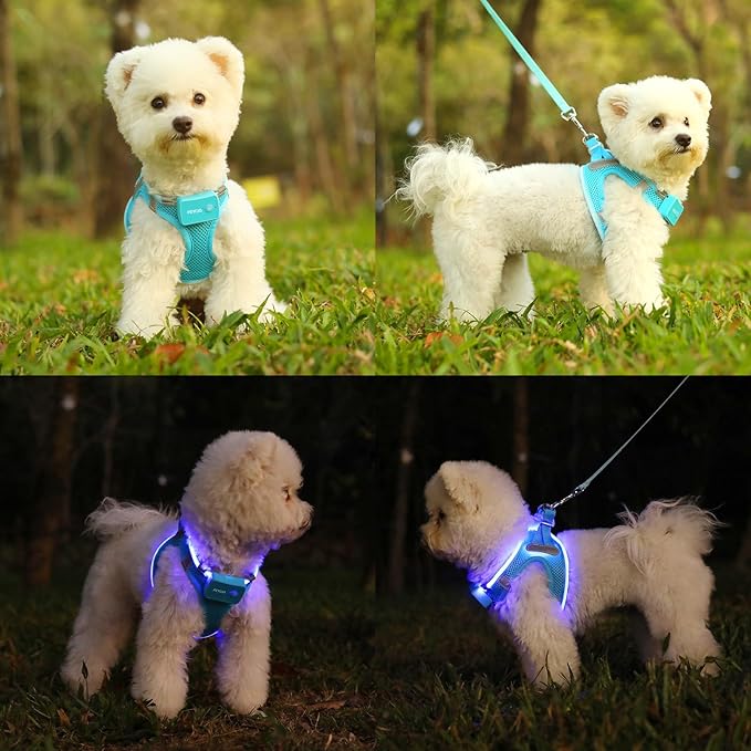 Light Up Dog Harness,Rechargeable LED Dog Harness for Small Medium Large Dogs,Reflective Lighted Safety Vest for Night Walking & Camping,Lightweight & Adjustable,Blue,XS