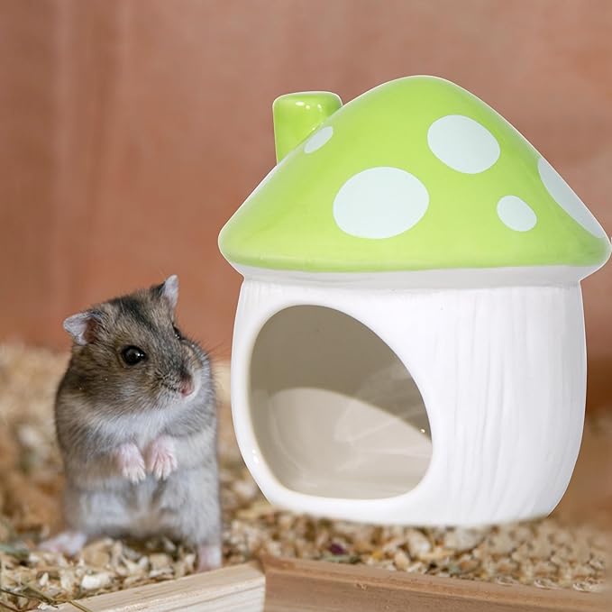 Ceramic Mushroom Hamster Hideout - Hamster Habitat for Hamsters Chinchillas Hedgehogs and Gerbils Mouse Small Pet Guinea Pigs House Hamster Bed (Green)