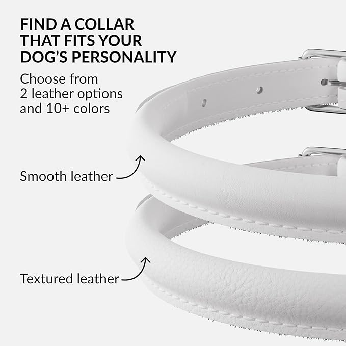 CollarDirect Rolled Leather Dog Collar, Soft Padded Round Puppy Collar, Handmade Genuine Leather Collar Dog Small Large Cat Collars 13 Colors (6 Inch, White Smooth)