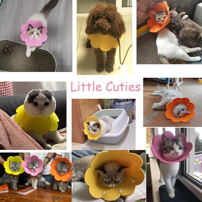 Adjustable Recovery Collar - Cute Flower Neck Cones After Surgery, Set of 2 E Collars for Kitten and Cats S Size (2 pcs)