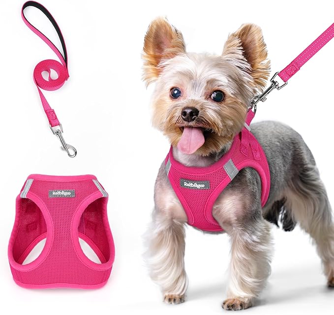 rabbitgoo Dog Harness Small Sized and Leash Set, Step in Soft Light Puppy Vest, Breathable Mesh Pet Harness, Reflective for Safe Easy Walking, Rose Red XS