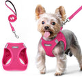 rabbitgoo Dog Harness Small Sized and Leash Set, Step in Soft Light Puppy Vest, Breathable Mesh Pet Harness, Reflective for Safe Easy Walking, Rose Red XS