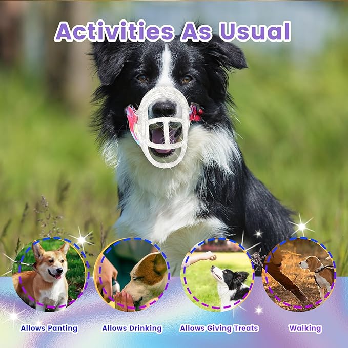 Dog Muzzle, OKKIC Basket Muzzle Anti Biting Chewing, Sturdy Lightweight Muzzle Allows Panting Drinking,Muzzle for Small Medium Large Dogs, Suitable for Grooming Trimming Training (Transparent, Size6)