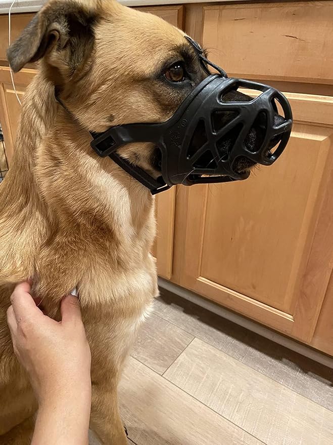 Mayerzon Dog Muzzle, Breathable Basket Muzzles for Small, Medium, Large and X-Large Aggressive Dogs Beagle German Shepherd Doberman, Cage Mouth Guard Stop Biting Chewing for Grooming Training