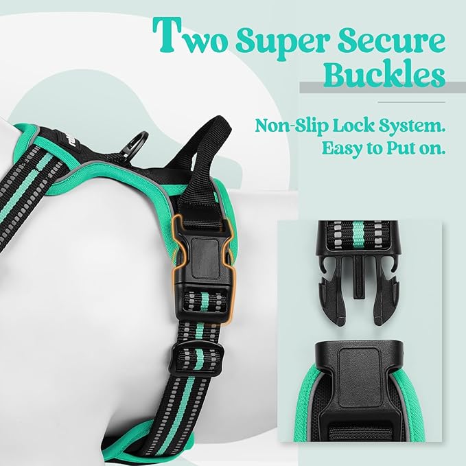rabbitgoo Dog Harness No Pull with 2 Leash Clips, Adjustable Soft Padded, Reflective Oxford No Choke Pet Vest with Easy Control Handle for Small Dogs, Black & Turquoise, S