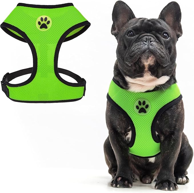 BINGPET No Pull Dog Harness,Soft Mesh Breathable All Weather Vest Harness,Safety Protection Design Durable Adjustable Step-in Easy Walk Dog Harness for Small Medium Large Dogs(Green,L)