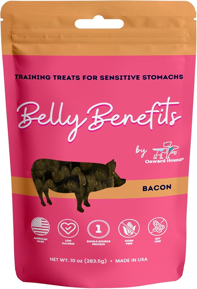 Training Treats for Dogs - Soft Bacon - Low Calorie Dog Training Treats for Sensitive Stomachs with Single Source Premium Protein, Corn Free, & Soy Free Formula - 10 oz
