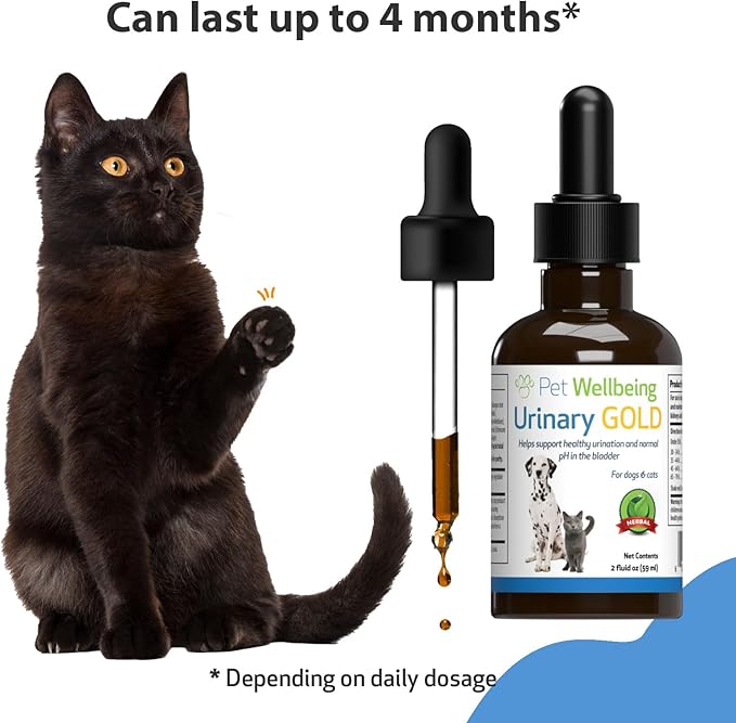 Pet Wellbeing Urinary Gold for Cats - Supports Urinary Tract Health, Normal Frequency, Healthy Immune Response, Stoneroot, Hydrangea - Veterinarian-Formulated Herbal Supplement 2 oz (59 ml)