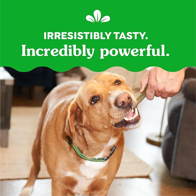 Greenies Regular Dental Dog Treats, Fresh Flavor, 12 oz. Pack (12 Treats)