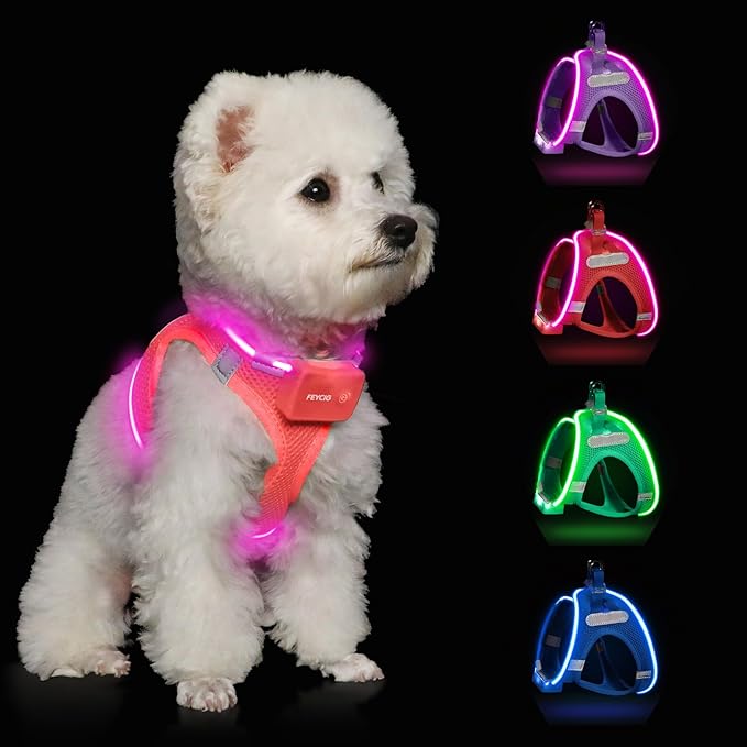 Light Up Dog Harness,Rechargeable LED Dog Harness for Small Medium Large Dogs,Reflective Lighted Safety Vest for Night Walking & Camping,Lightweight & Adjustable,Fluorescent Pink,XS