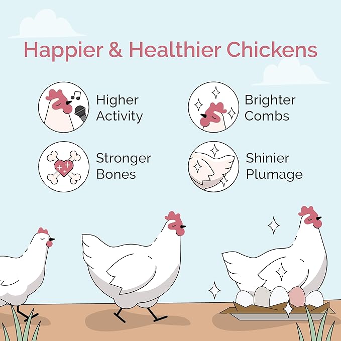 Chicken Grit for Layer & Grower Chickens Age 8-20+ Weeks - 100% Natural Mineral Chicken Grit Quartzite, Poultry Grit, USA Mined, 50 lbs