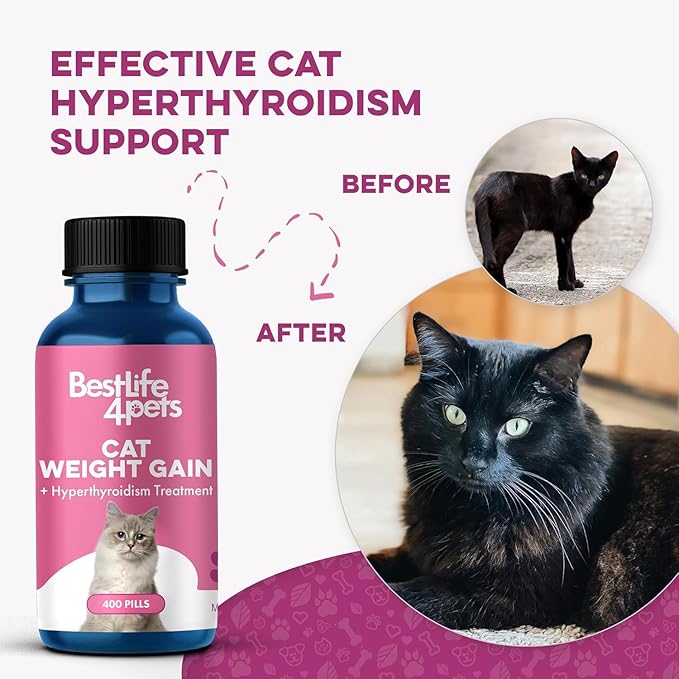 Cat Weight Gain & Hyperthyroidism Treatment, Safe and Effective Cat Appetite Stimulant, Thyroid and Metabolic Support, Weight Management Remedy, 800 All-Natural Odorless, Tasteless Pills