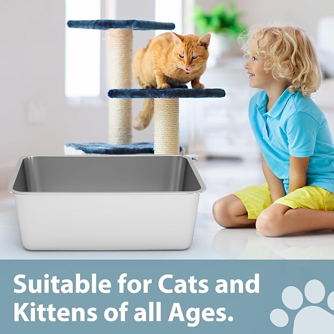 Stainless Steel Litter Box - Cat Litter Box Easy to Clean, Never Absorbs Odor, Stains, or Rusts - Silver (17.7" L x 13.5" W x 6" H)