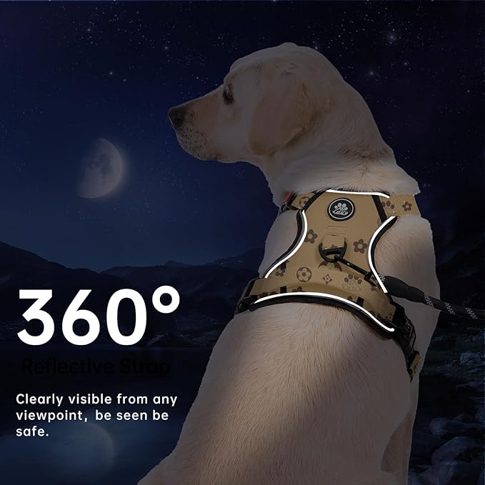 IVY&LANE No Pull Dog Harness with Leash Set, Reflective No Choke Pet Vest,Adjustable Oxford Dog Vest Harness with Easy Control Handle for Large Dogs (Light Brown,L)