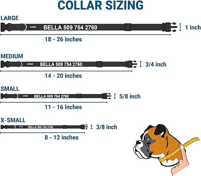 GoTags Personalized Dog Collar with Nameplate, Adjustable Dog Collar with Custom Engraved Slide On Pet ID Tag in Stainless Steel, Silent, No Noise Dog Tag (Light Blue, Small)